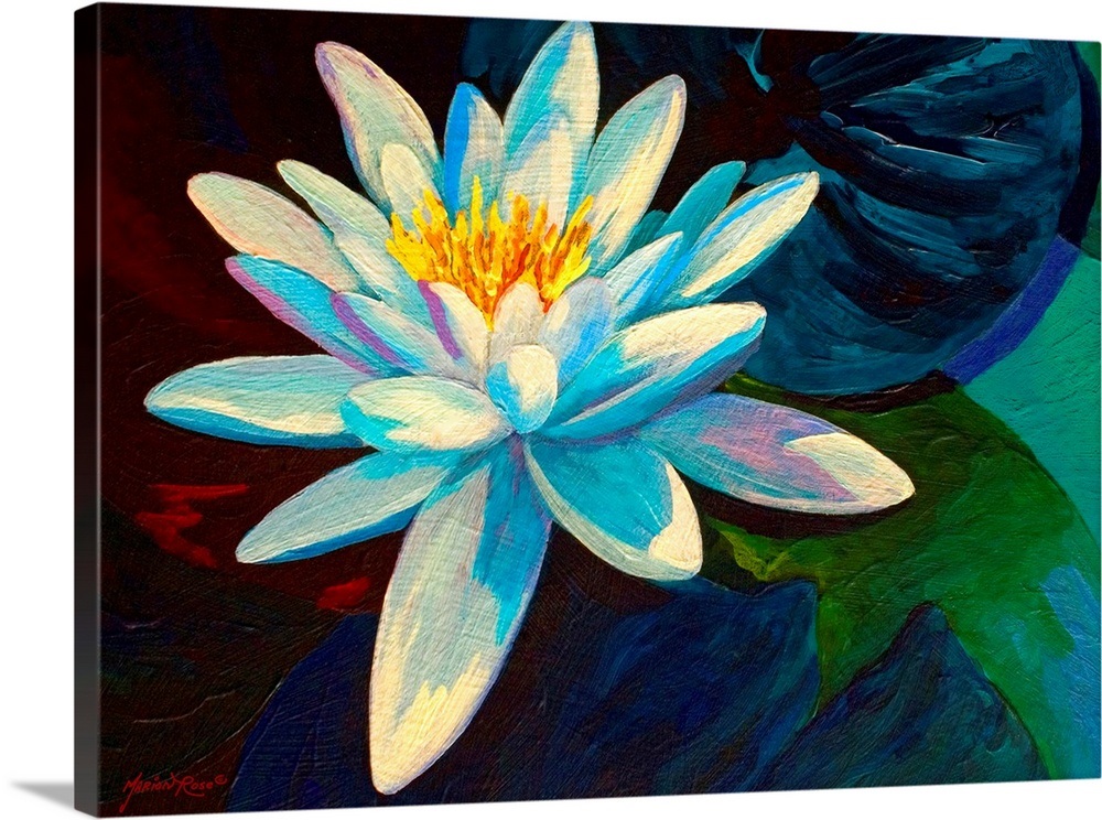 White Lily Wall Art, Canvas Prints, Framed Prints, Wall Peels Great