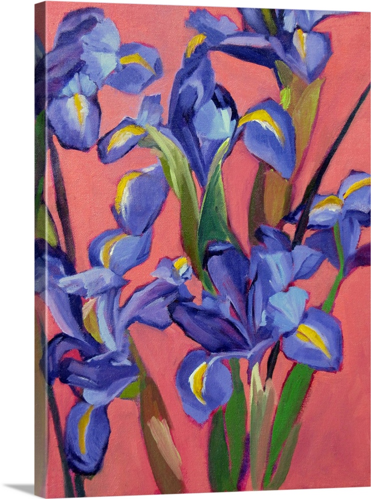 Spring Irises