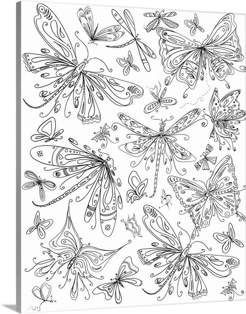 Black and white line art of an assortment of butterflies and dragonflies of different shapes and sizes.
