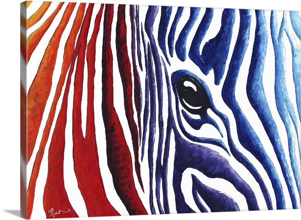Colourful Painting Paint Art Large Poster Canvas Pictures Abstract Zebra 