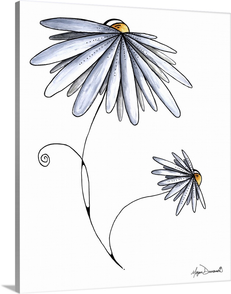 Illustration of two flowers with several petals on a plain white background.