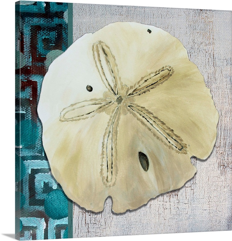 Sand Dollar I Wall Art, Canvas Prints, Framed Prints, Wall Peels