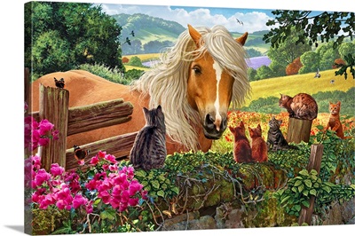 A Wall In The Countryside Covered With Cats Looking At An Inquisitive Horse