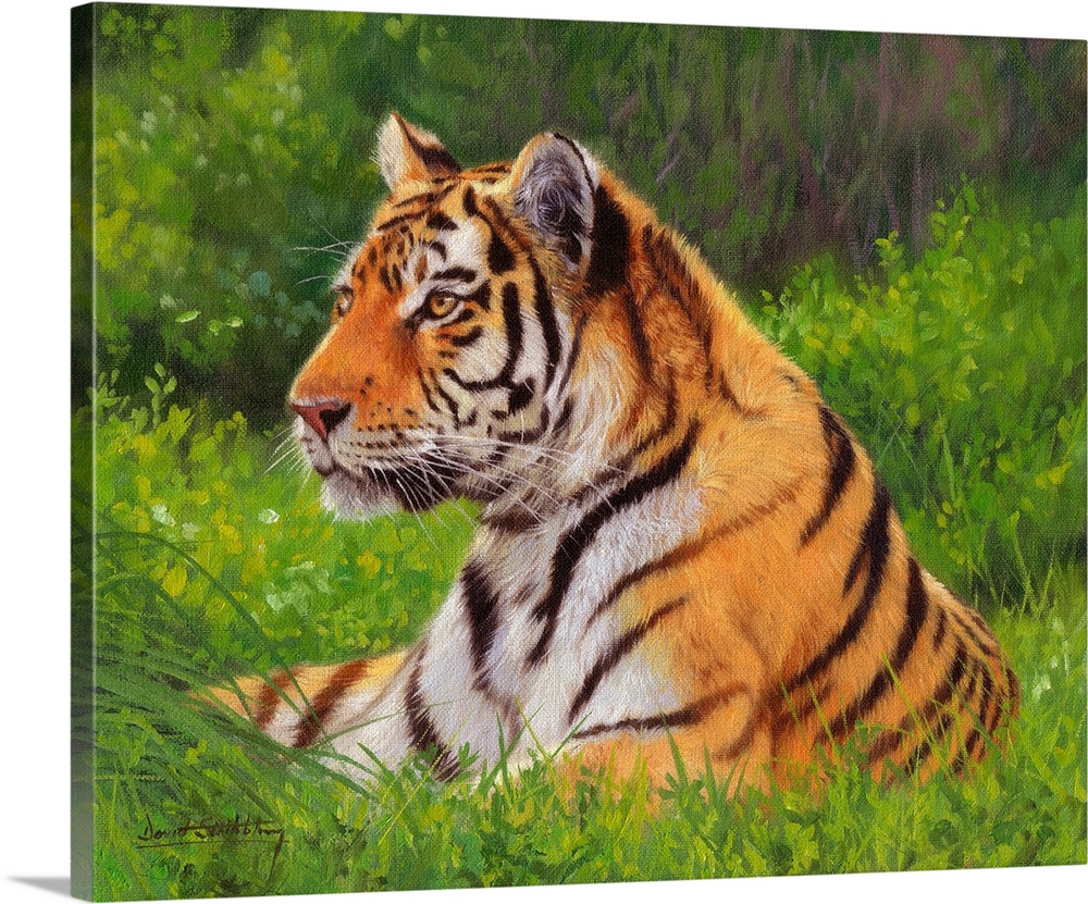 Painting of a Siberian tiger laying on the grass looking proud and majestic.