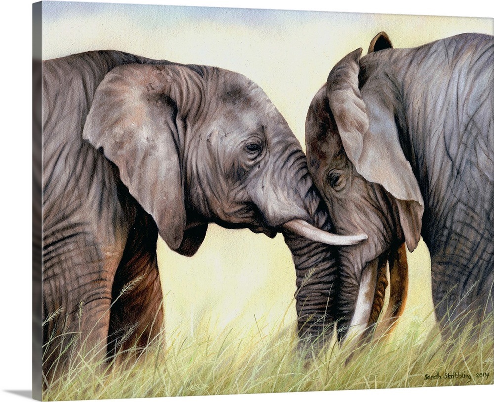 African elephants Wall Art, Canvas Prints, Framed Prints, Wall Peels