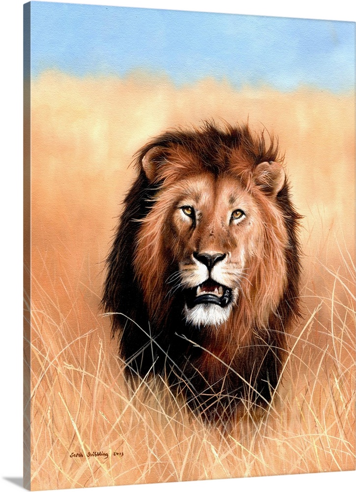 Oil painting of an African lion in the savannah.