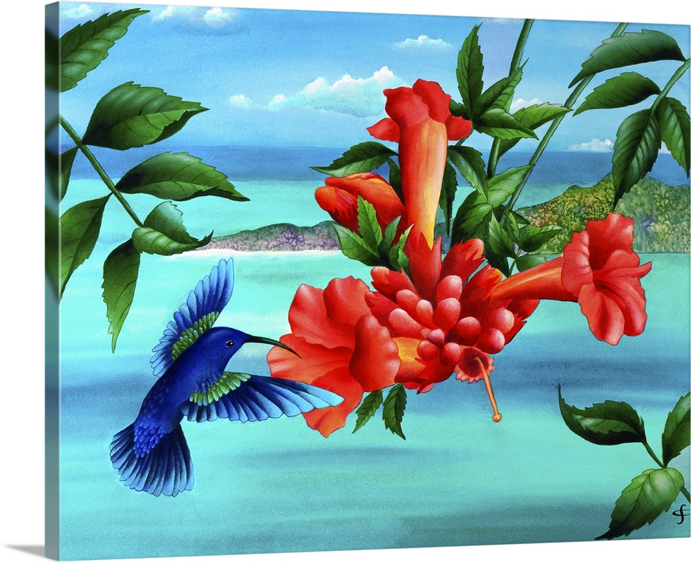 Artwork of colorful and vibrant red tropical flowers, with a blue hummingbird hovering beside them.