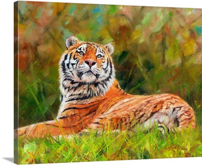 Amur Siberian Tiger