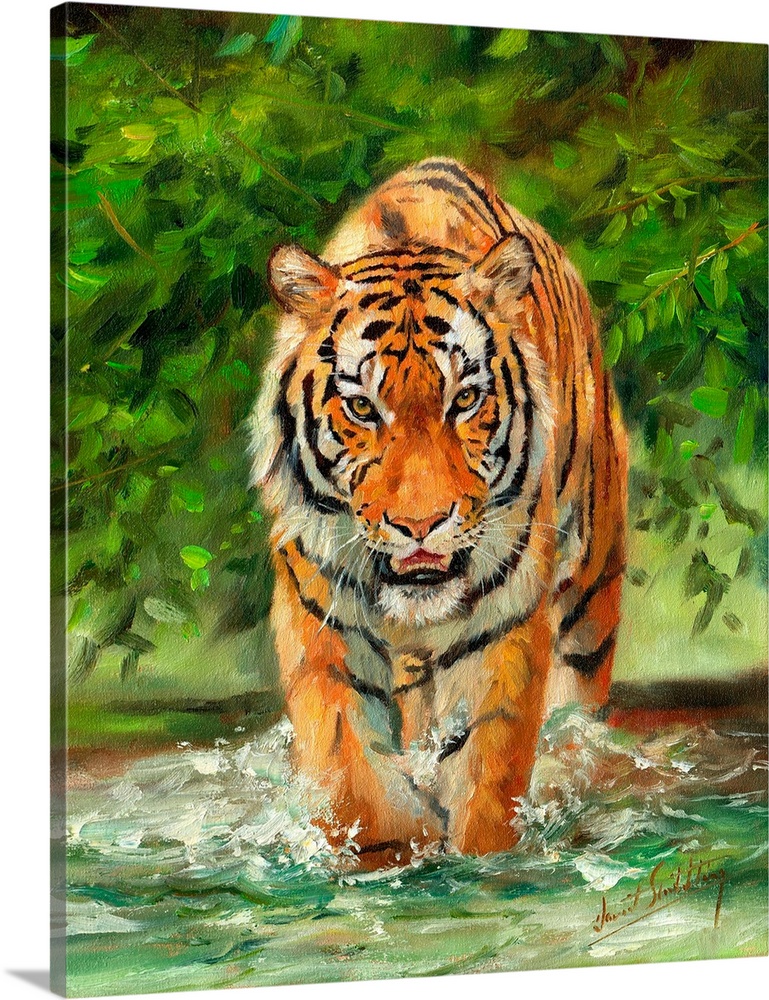 Contemporary painting of a Siberian tiger wading through shallow water on a prowl.
