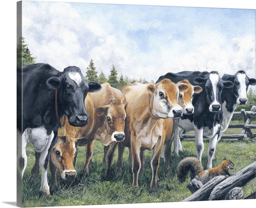 Contemporary artwork of a group of cows watching a squirrel on a fence with an acorn in its mouth.