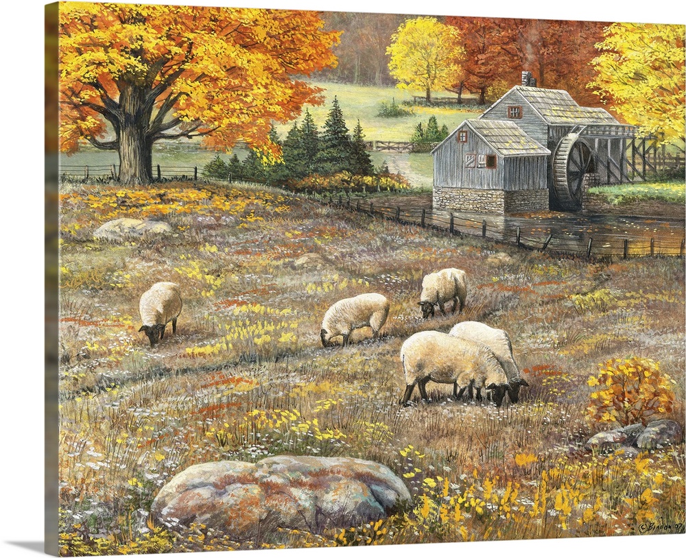 Painting of woolly sheep in a field in autumn. With a watermill in the background.