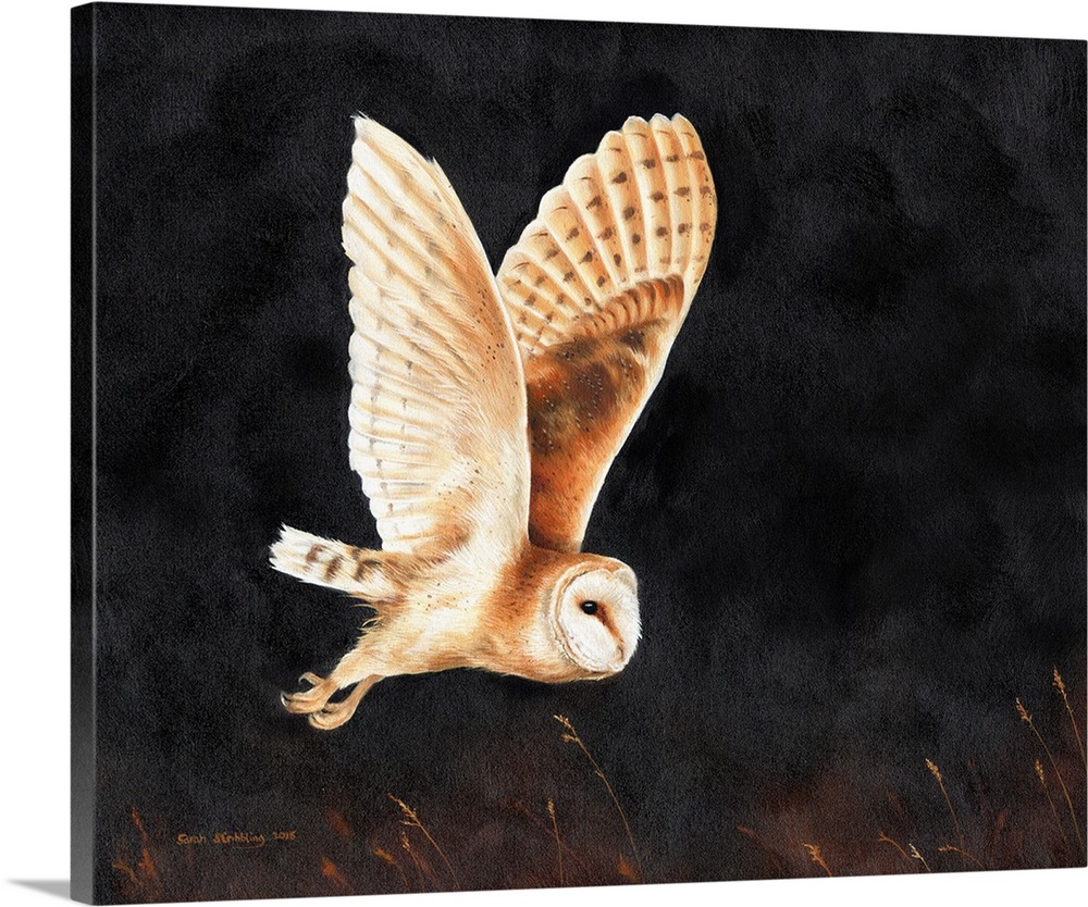 Details about   FLYING BARN OWL Art PRINT of Original Digital Painting Wildlife Artwork by VERN 