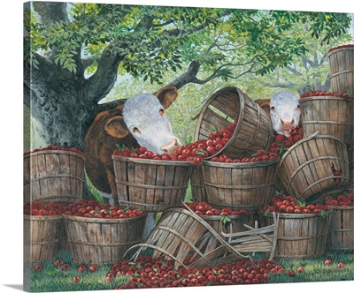 Baskets Full Of Pleasure