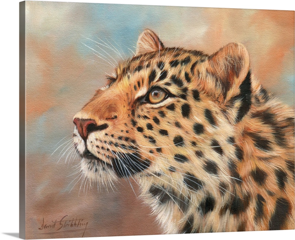 Leopard Wildlife Canvas Wall Art Picture Print 