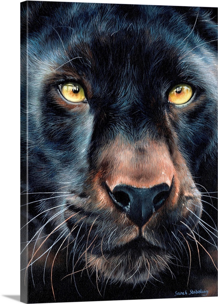 Black panther Wall Art, Canvas Prints, Framed Prints, Wall Peels