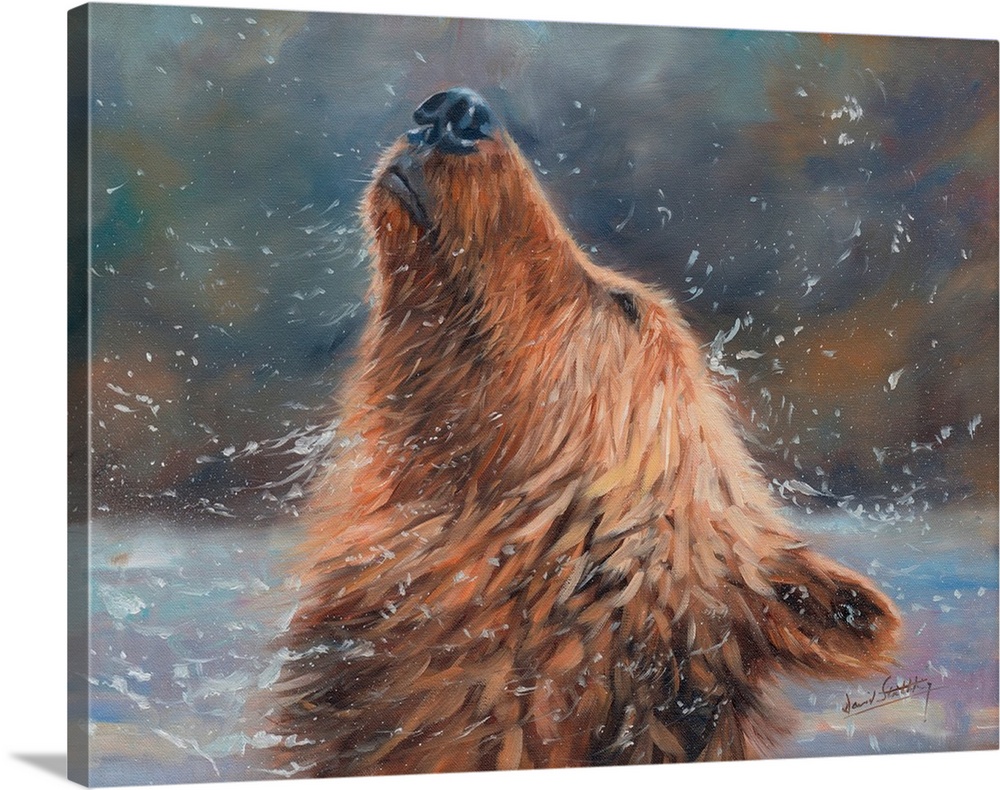 Contemporary painting of a grizzly bear shaking his head to get all the water off.