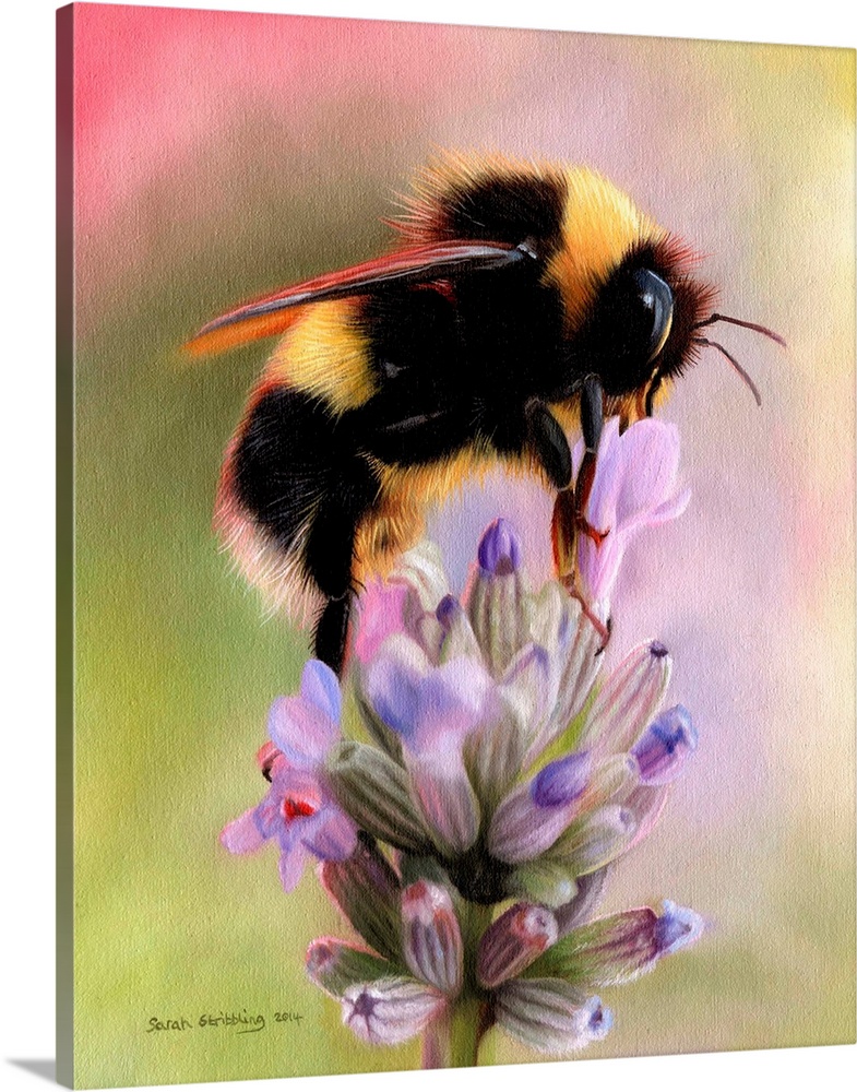 Oil painting of a Bumble bee on a lavender plant.