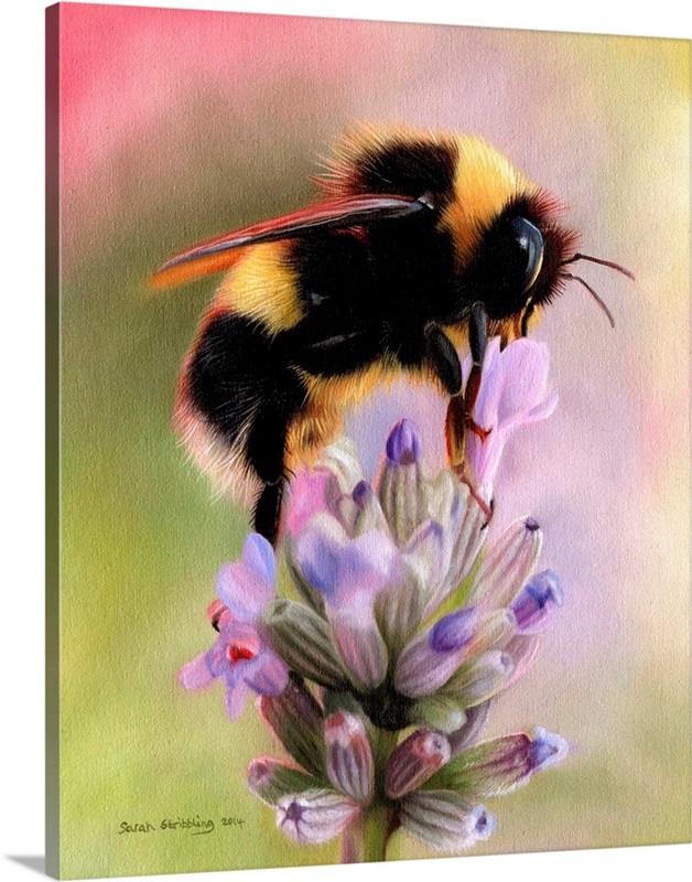 Bee Print Bumble Bee Print Bee Art Bee Art Print Bee -  Canada