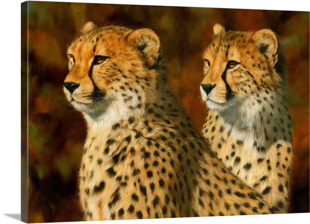 Pair of cheetahs, oil on canvas