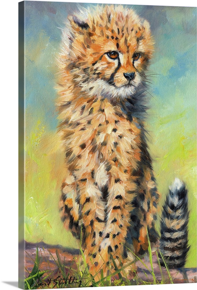 Cheetah Cub. Oil on canvas.