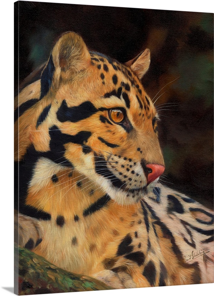 Contemporary painting of a clouded leopard looking at something with intent.