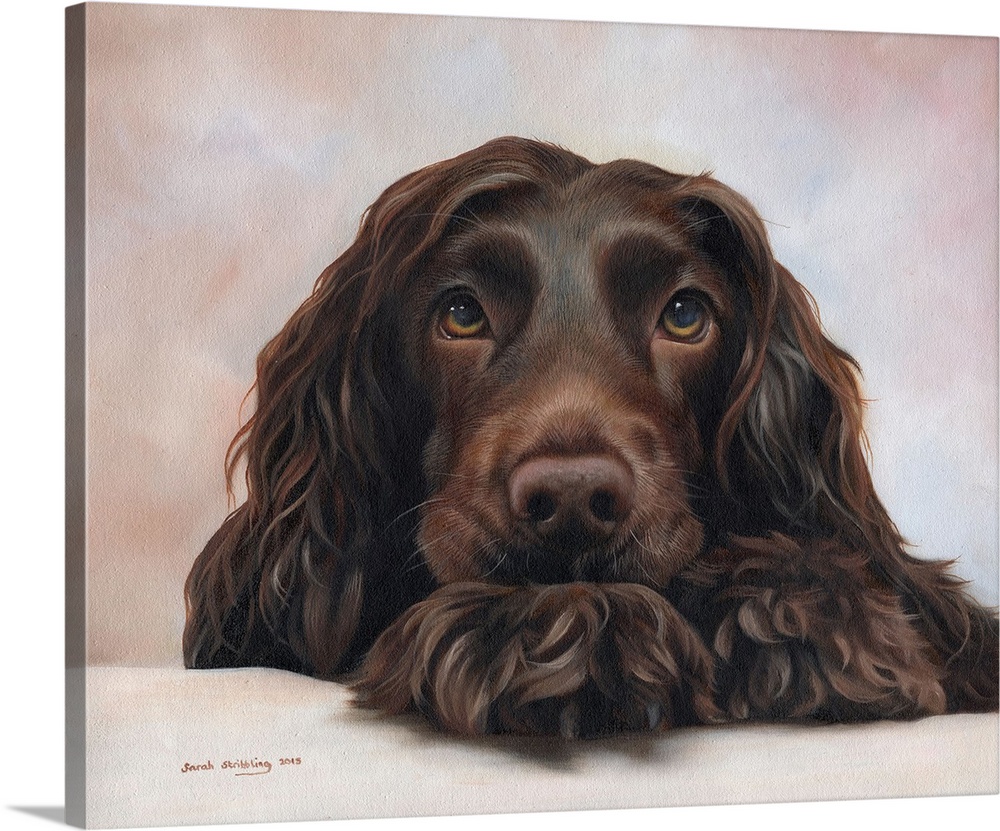 Oil painting of a Cocker spaniel.