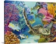 image thumbnail of Contemporary tropical themed artwork with use of bright and vibrant colors.