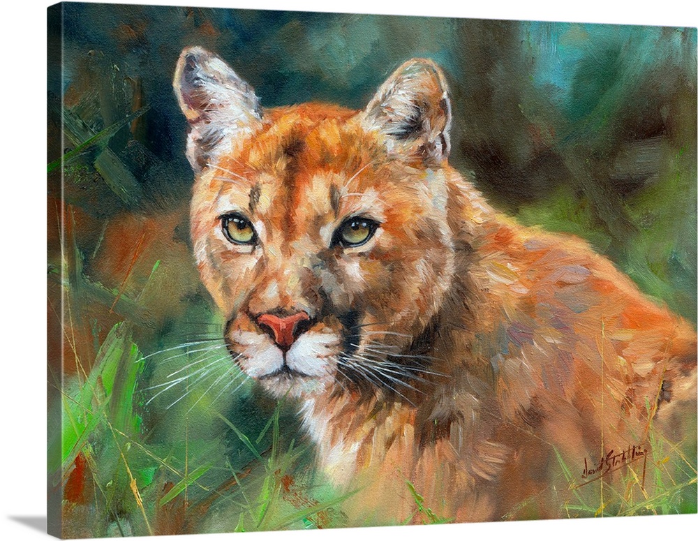 North American cougar (mountain lion). Oil on canvas.