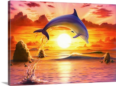 Day Of The Dolphin - Sunset I