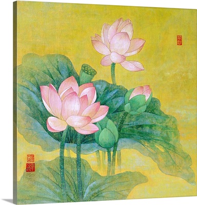 Dream Lotus