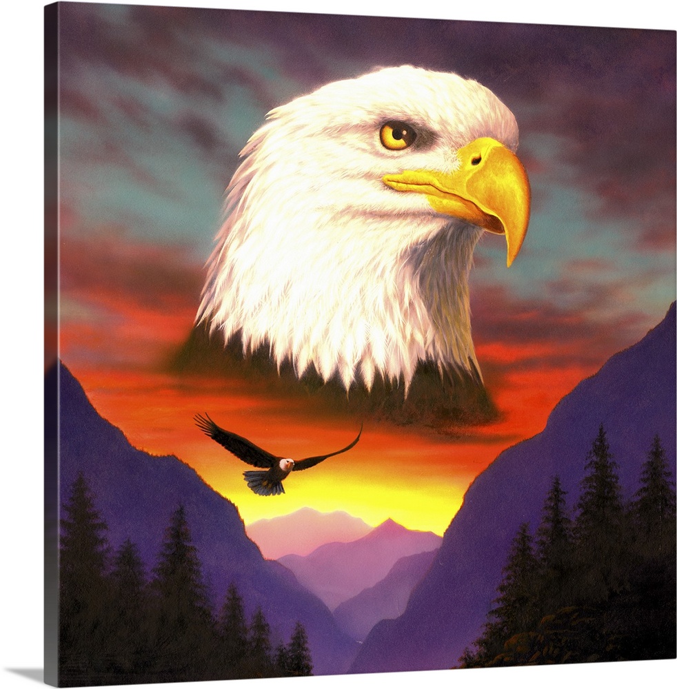 Details about   Rainbow Bald Eagle Bathroom Home Décor Grey Red Green Photo 8x10 Art NO FRAME 