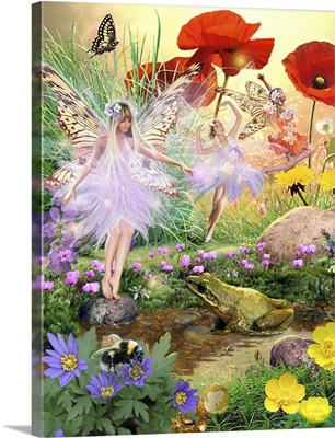 Fairies And The Frog