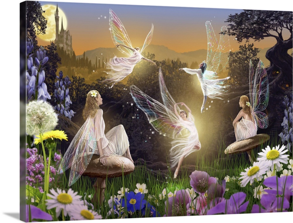 Fairy Ballet I Wall Art, Canvas Prints, Framed Prints, Wall Peels ...