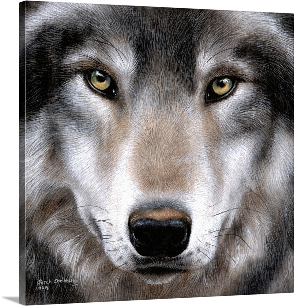 Oil painting of a close up of a Grey wolf.
