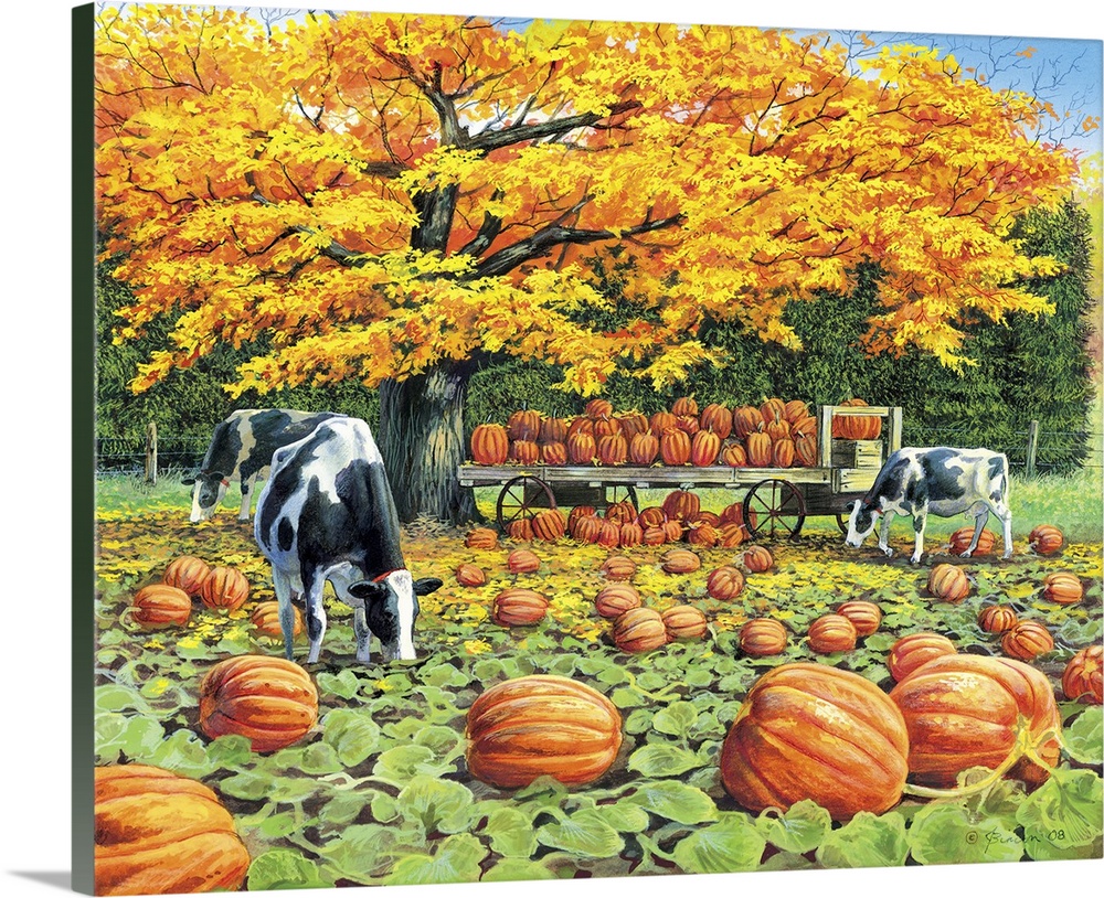 Contemporary painting of cows grazing in a pumpkin patch in autumn.