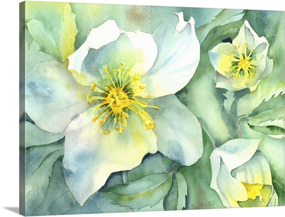 Contemporary watercolor painting of brightly colored flowers.