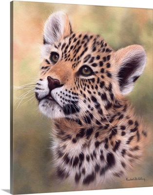 Jaguar Cub Portrait