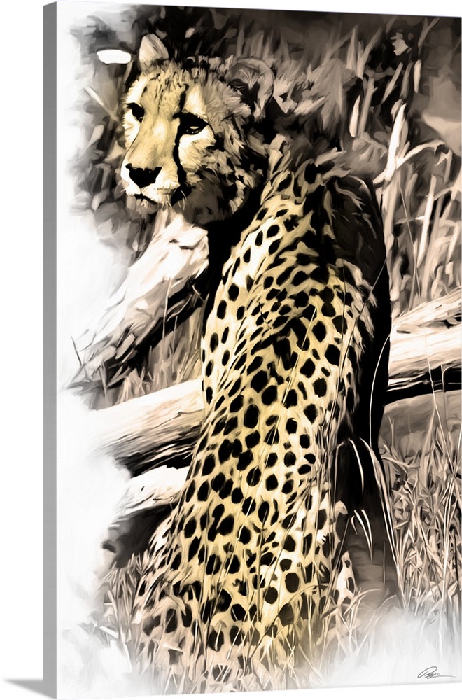Contemporary animal art of a cheetah looking over its shoulder.