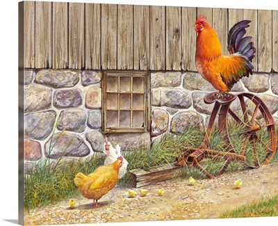 King - Rooster And Hens