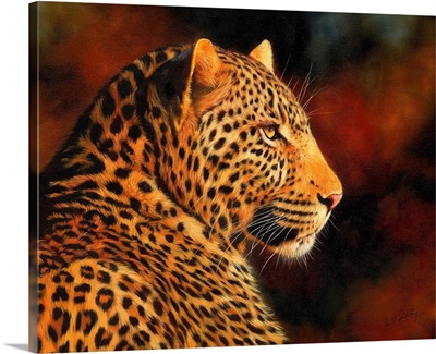 Leopard Chad