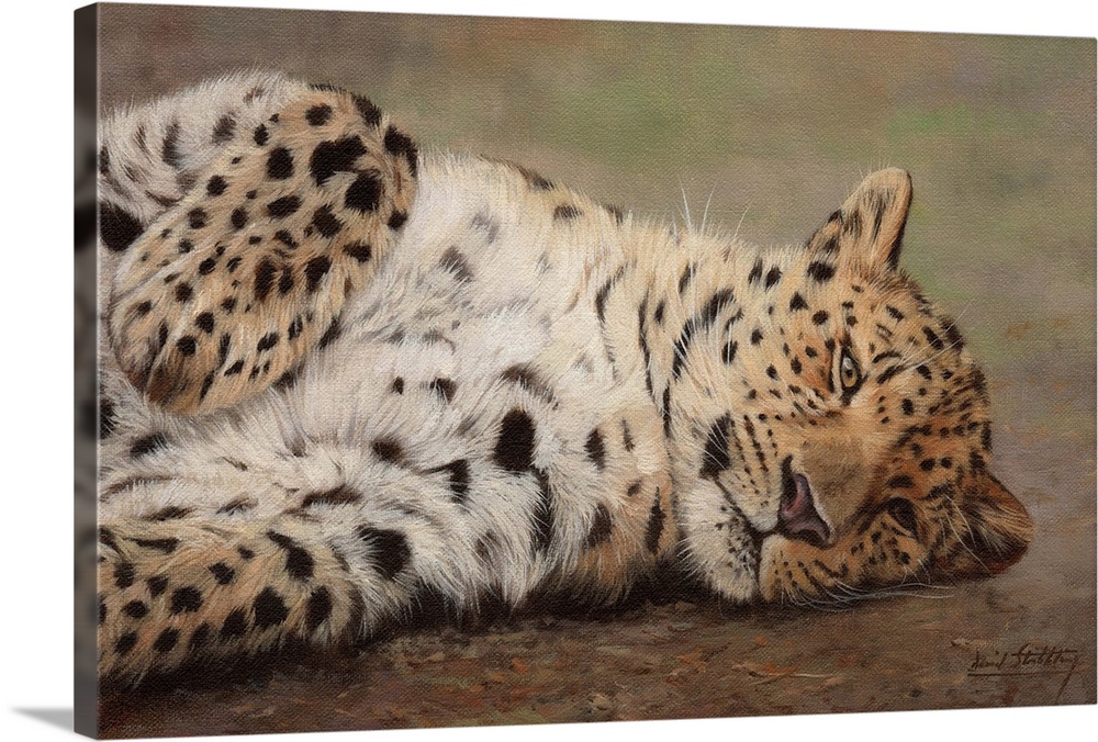 Contemporary painting of a leopard resting playfully on the ground.