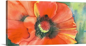 Little Poppy image thumbnail