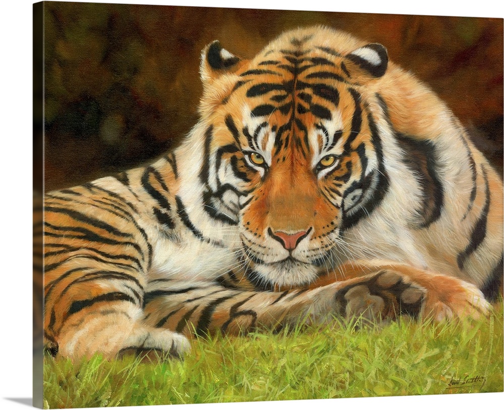 Painting of a tiger laying on the grass looking proud and majestic.