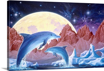 Luna Dolphins