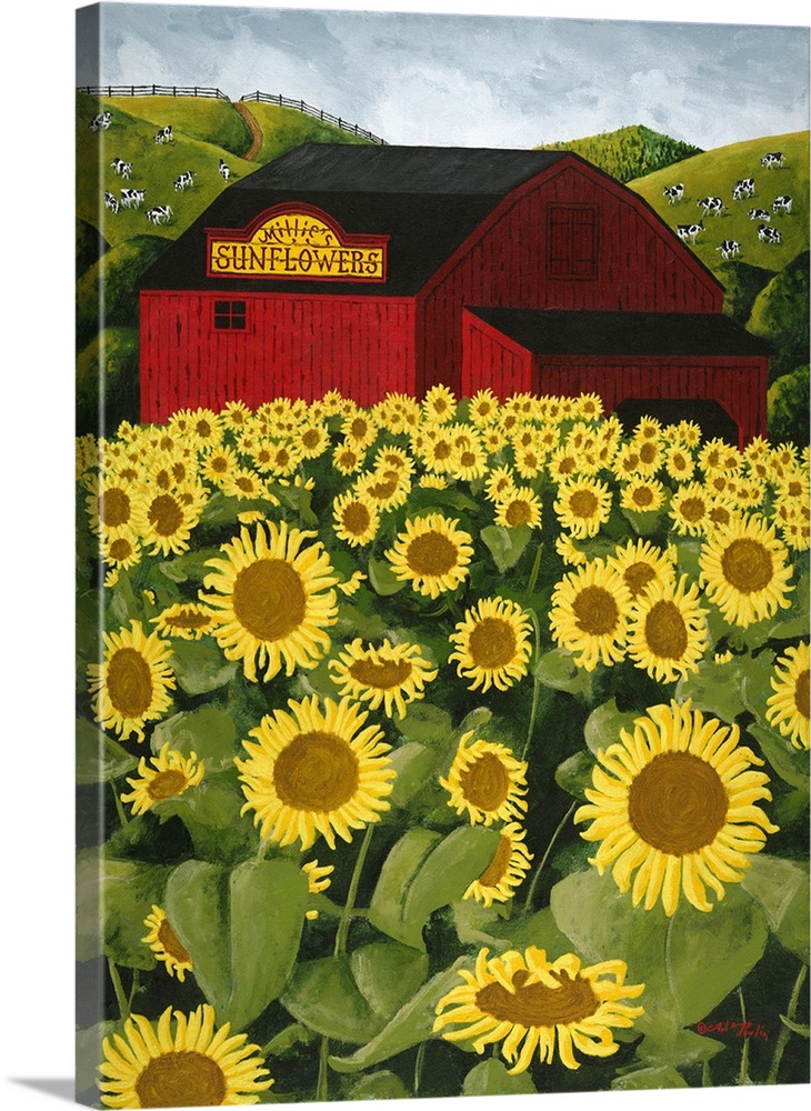 Americana scene of a big red barn in a sunflower field.