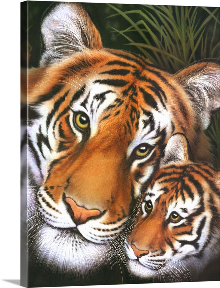Mother Tiger - Cub Solid-Faced Canvas Print