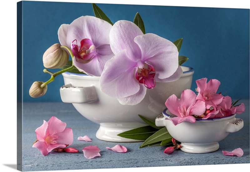 Orchids | Great Big Canvas