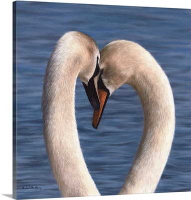 Pair Of Mute Swans Embracing Against A Blue Water Background