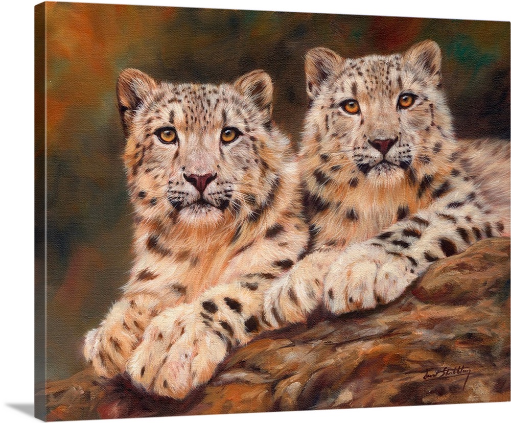 Contemporary painting of a pair of snow leopards laying on a rock together.