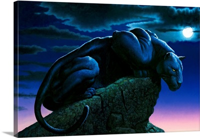 Panther On Rock